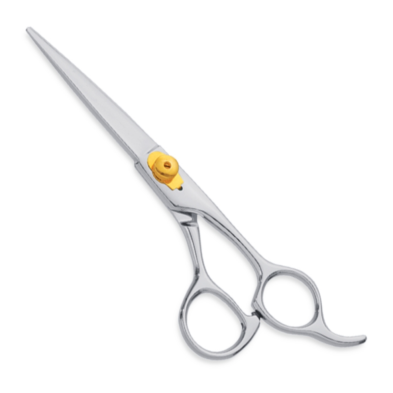Professional Hair Cutting Scissors